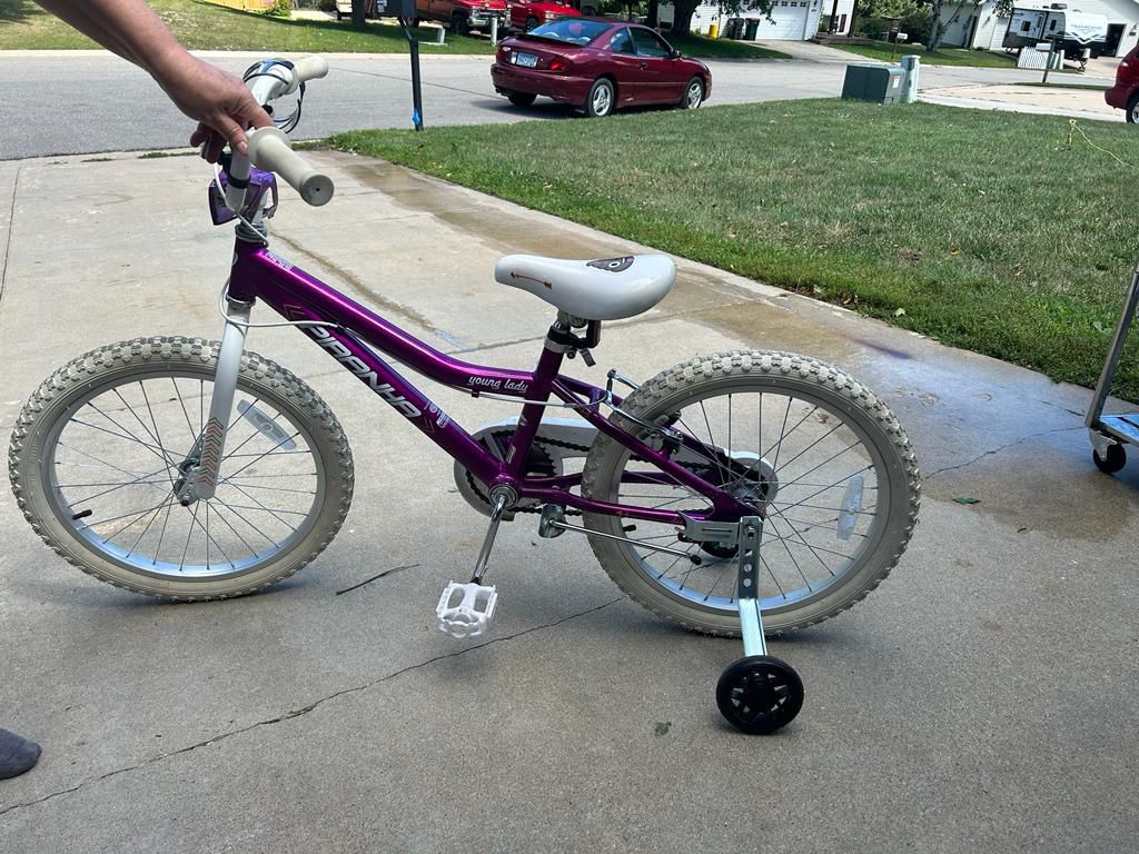 Girls bike With Training Wheels Attached 