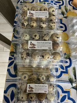 Fresh farm Coturnix quail eggs