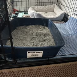 Cat Litter Box 