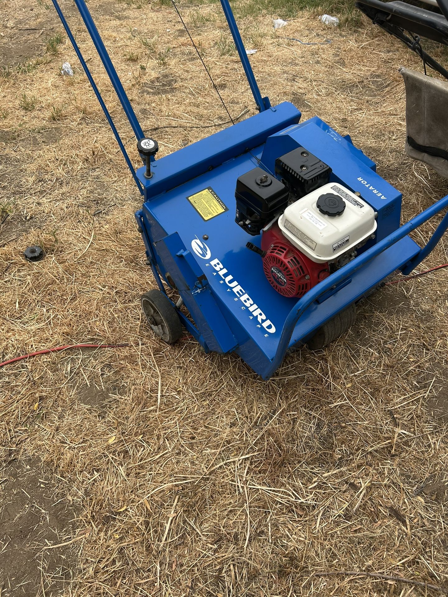 Honda Bluebird Ariator