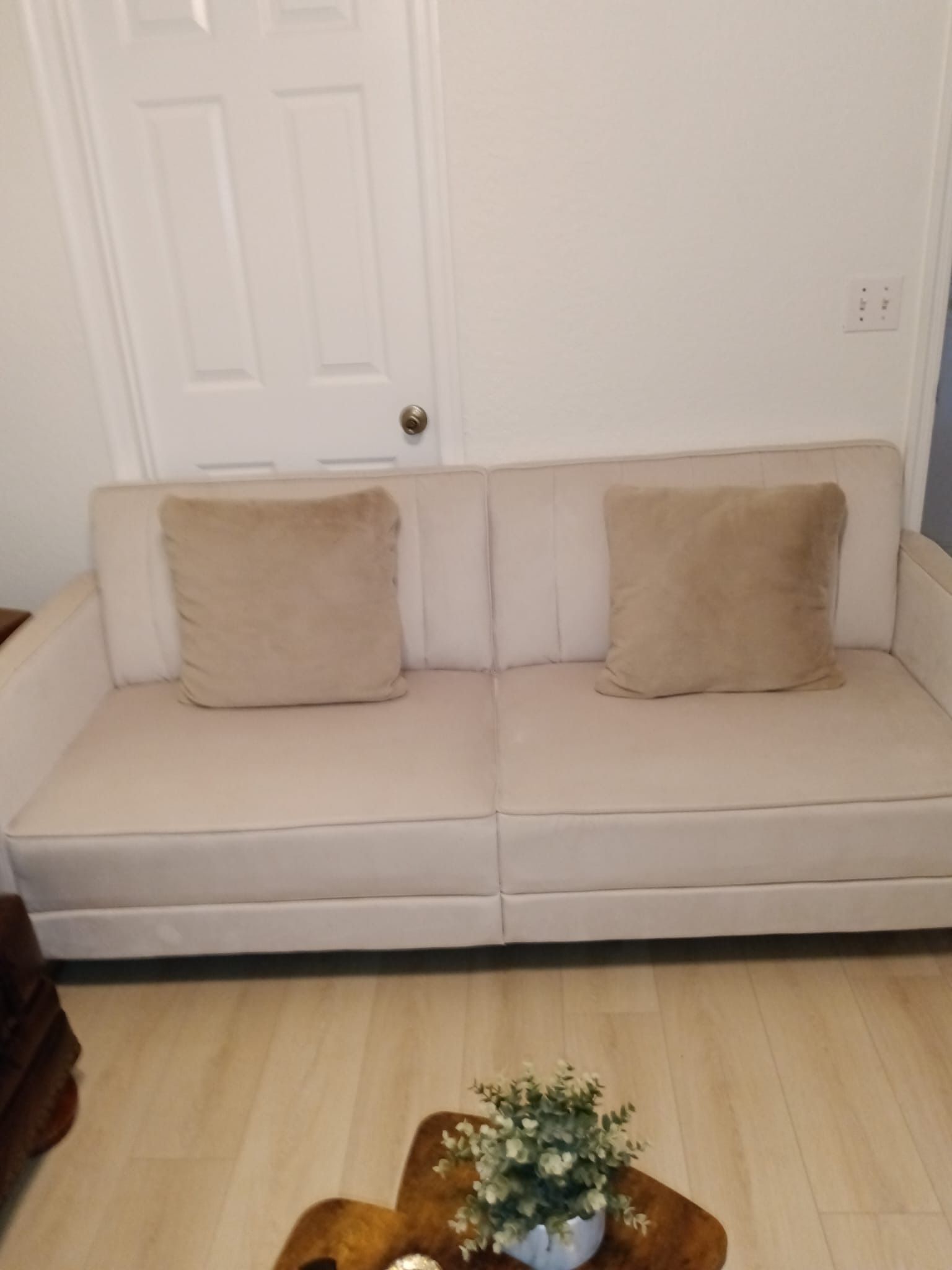 Beige Sleeper Sofa Couch