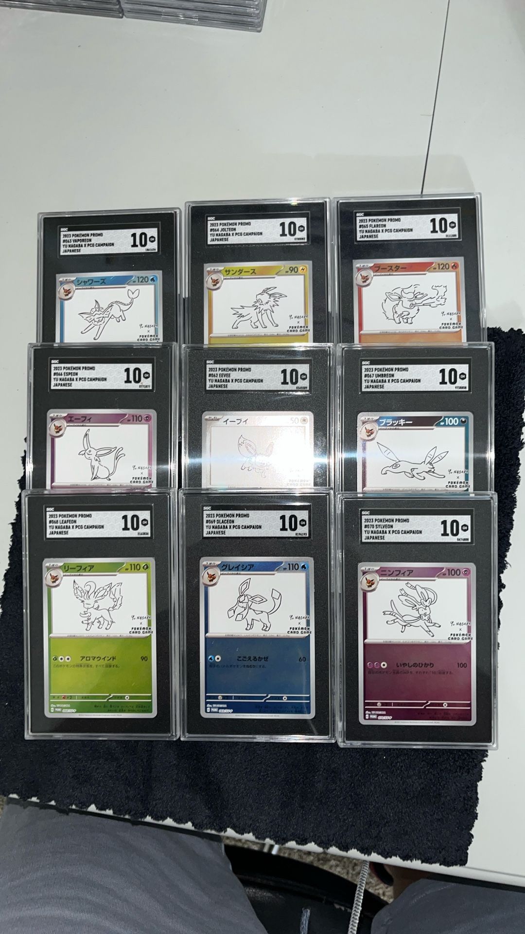 Pokémon Japanese Yu Nagaba Set