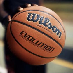 Wilson Evolution Official Game Basketball - 29.5