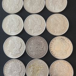 Lot Of 12 Morgan Silver Dollars 1921