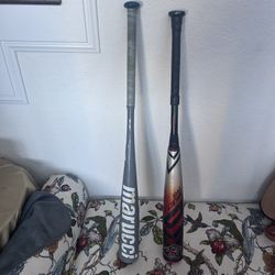 Baseball Bats 