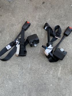 RZR Seat Belts