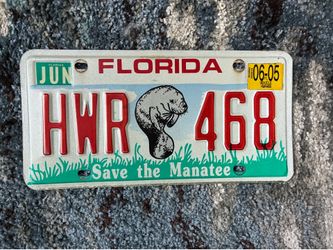 2005 Florida Save the Manatee License Plate