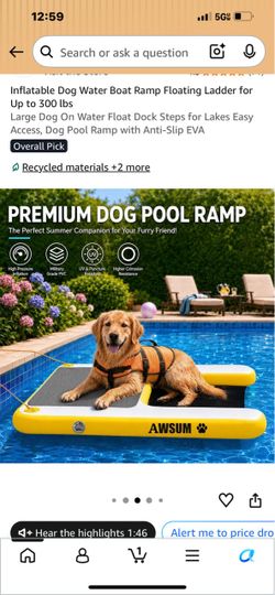Awsum DOG WATER RAMP