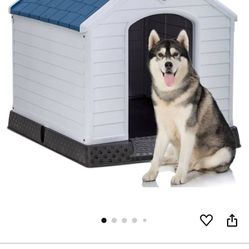 Dog House