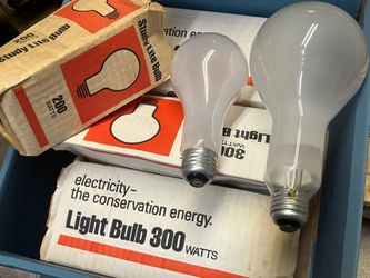 6 Incandescent Light Bulbs