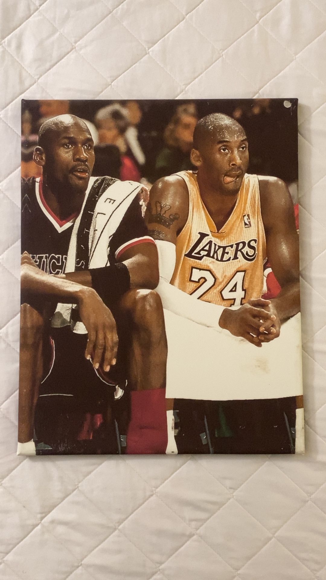 🤩🤩MJ & Black Mamba Spectacular🤩🤩