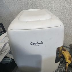 Mini Freezer