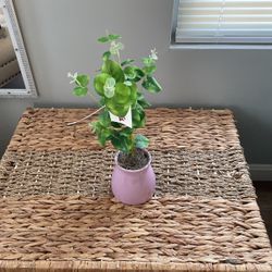 Flower Decor 