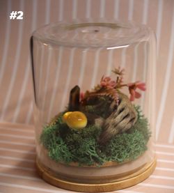 Raccoon crystals oddities art display