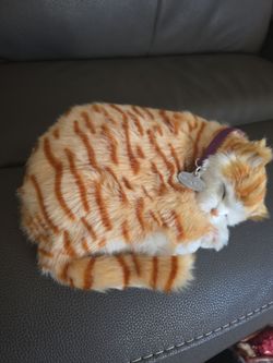 Perfect Petz original tabby pets