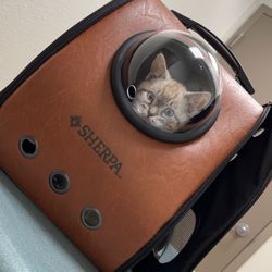 Sherpa Bubble Cat Backpack