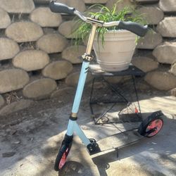 Ready To Ride Scooter Adults/kids