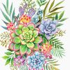 XoXopan Arrangements 