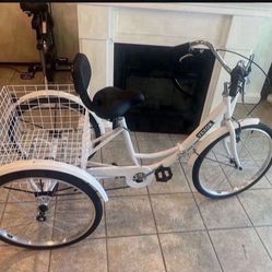 Adult tricycle