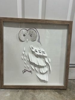 Owl framed picture 20”x20”