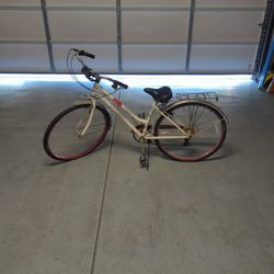 Schwinn Cruiser