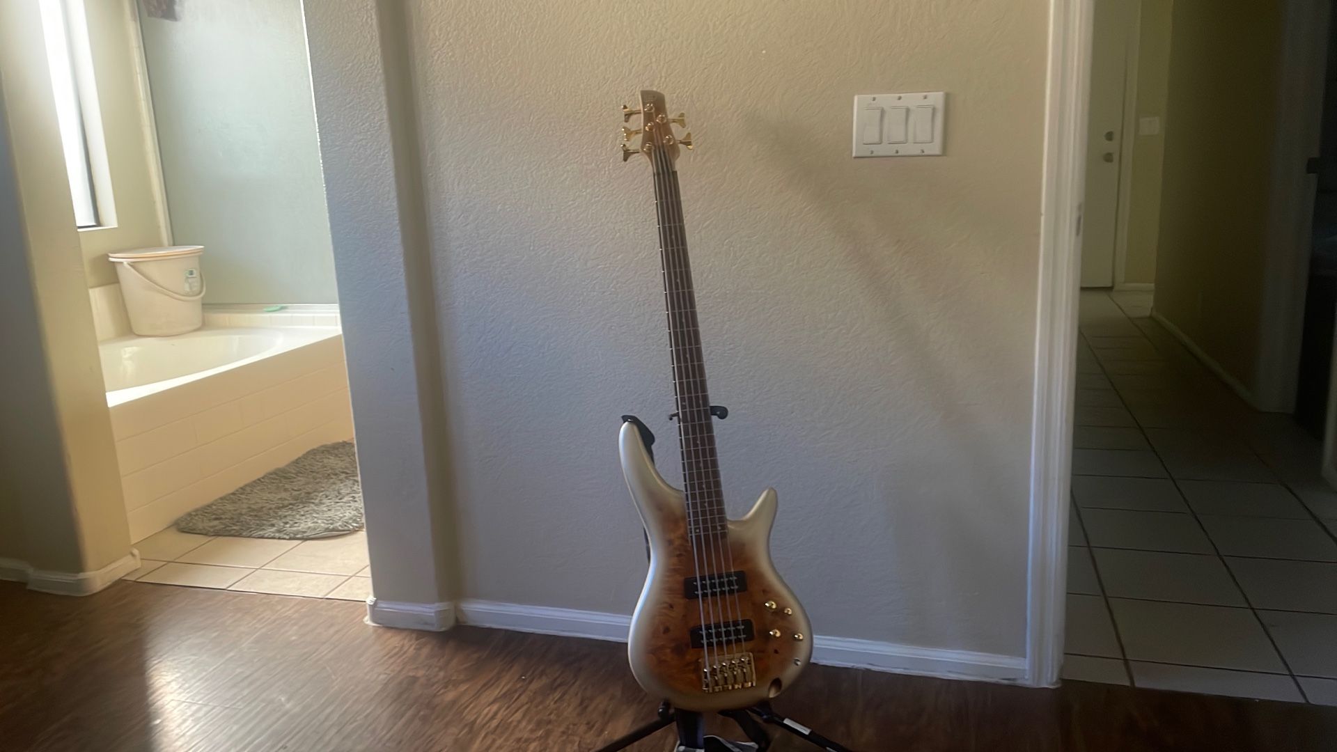The Ibanez Electric Bass