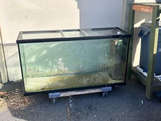 75 gallon saltwater freshwater tank stand and sump