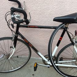 Classic 12 Speed Bike 