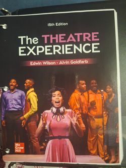 The Theatre Exoerience
