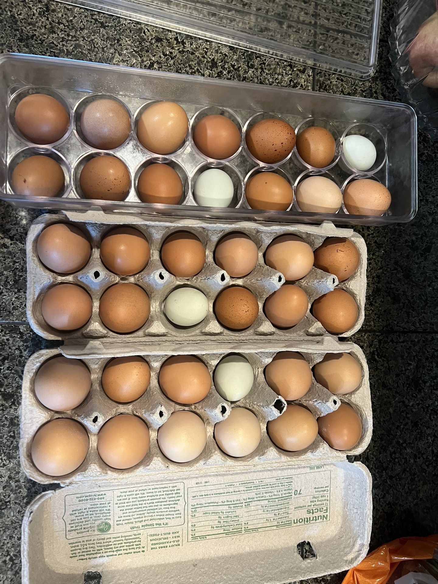 Free Range Eggs