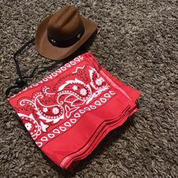 Small Dog Brown Cowboy Hat And Bandana
