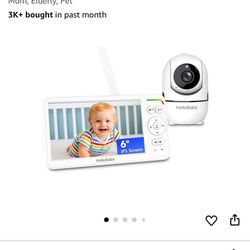 Video Monitor