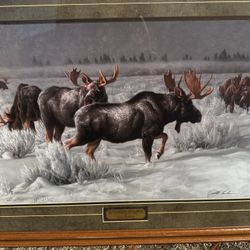  The Fellowship of the Hoarfrost Framed Print