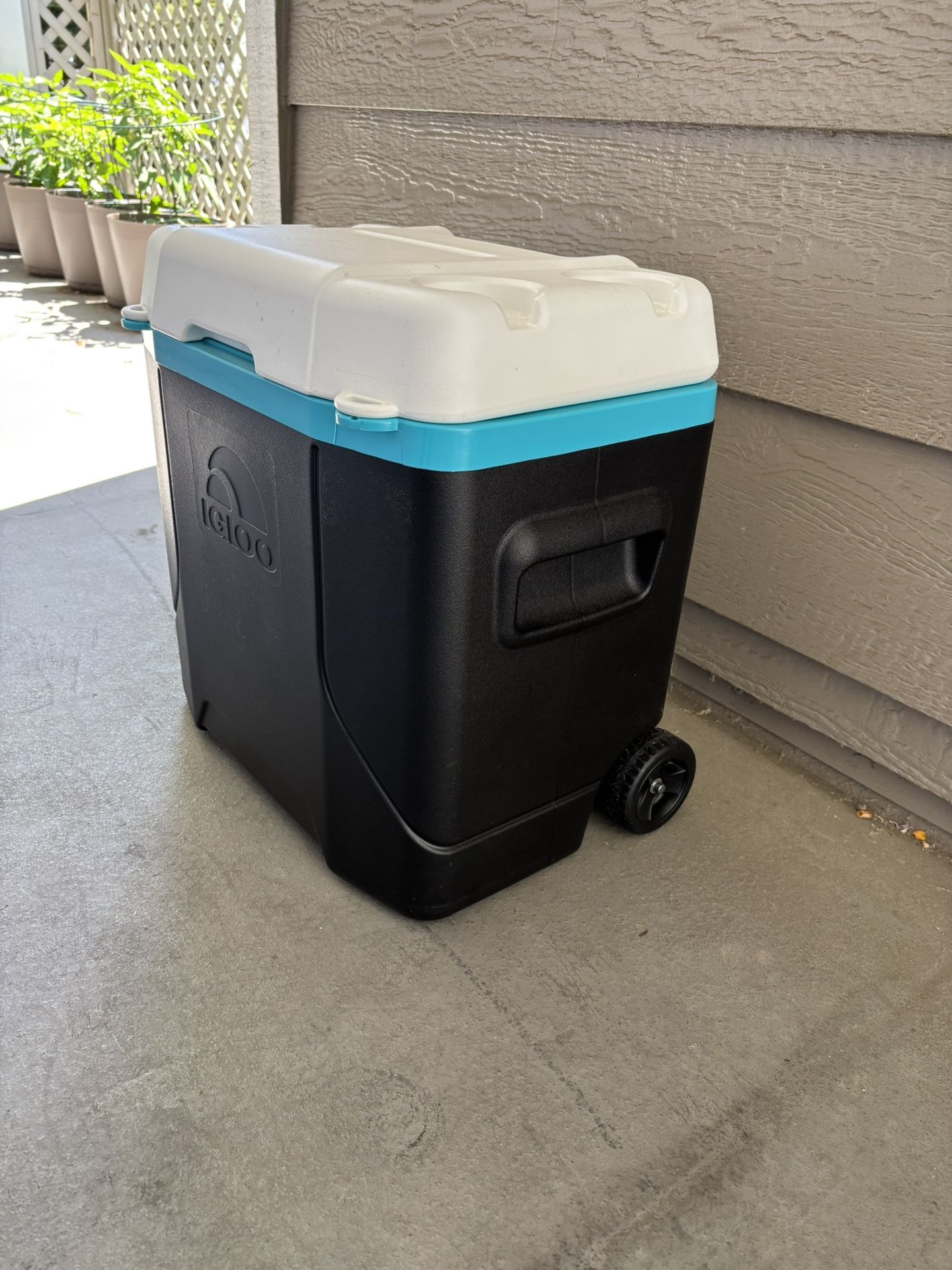 Black Igloo Cooler