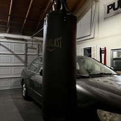80 lbs Heavy Bag Everlast