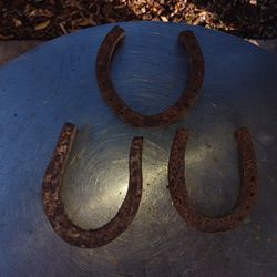 Vintage Horse Shoes