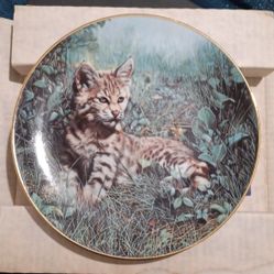 Bobcat Natures Dawn 1991 Charles Frace 8.5" W.P George Plate #1225B 110321DMTFR2