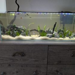 Peninsula 22 Gallon Rimless Tank 