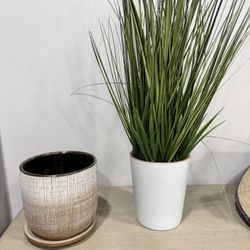 Planter 