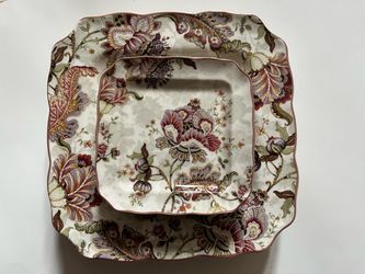 Dishwasher and microwave safe dinner plates