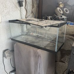 Free Tank 