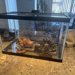 Fish Tank