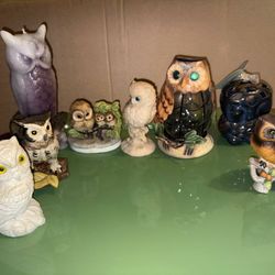 Collection of Owls 