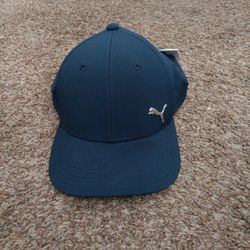 Dark Matte Blue Puma Hat