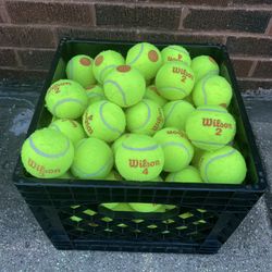 120 - Wilson Stage 2 🔴 Tennis Balls