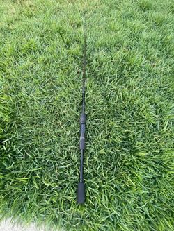 Black bait casting rod