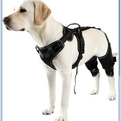 Dog Hip & Leg Support Harness for Mobility Assistance, Adjustable Rear Leg Brace with Lift Handle for Injured or Senior Dogs, Joint Stabilizing Hind L