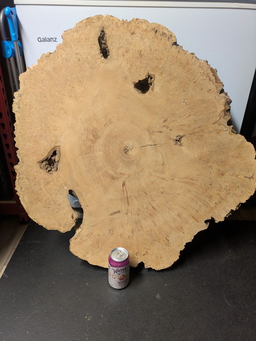 Burl Bird's Eye Maple Round