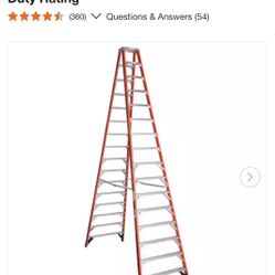 Ladder 16 Ft Like New 