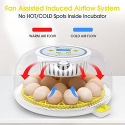 18 Eggs 🥚 Incubadora 